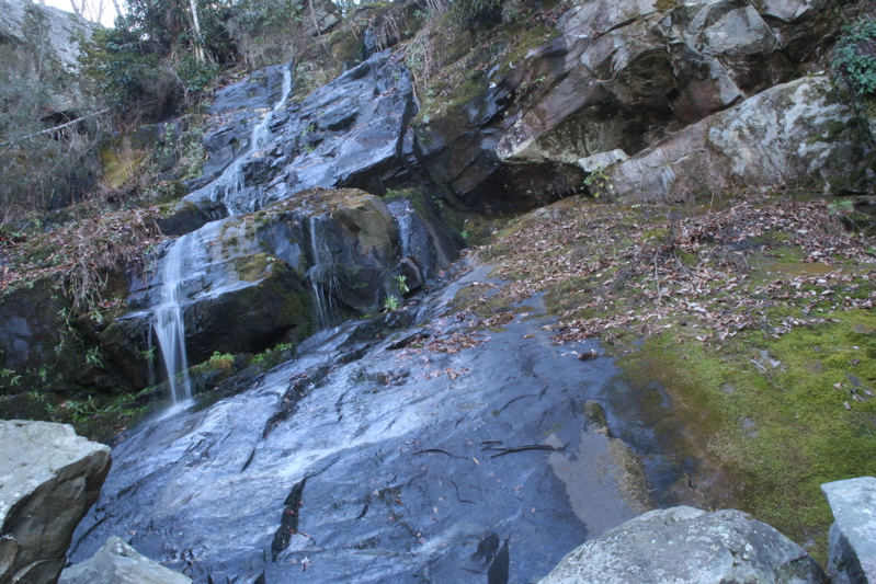 IMG_6582.jpg
