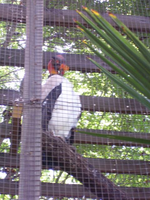 100_0300.JPG