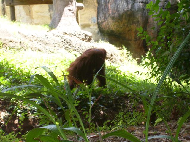 100_0324.JPG