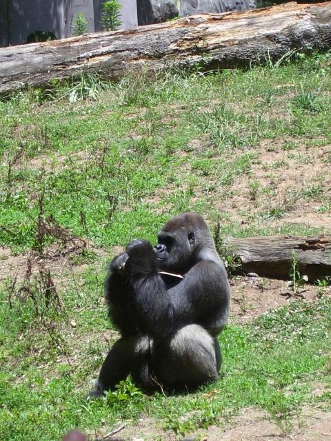 100_0326.JPG