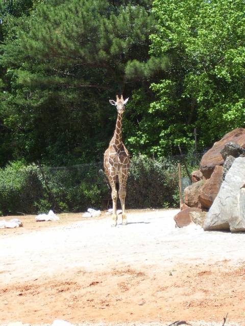 100_0333.JPG