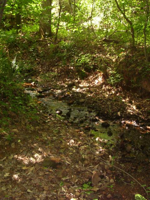 100_0335.JPG