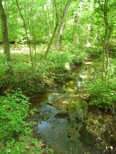 100_0336.JPG